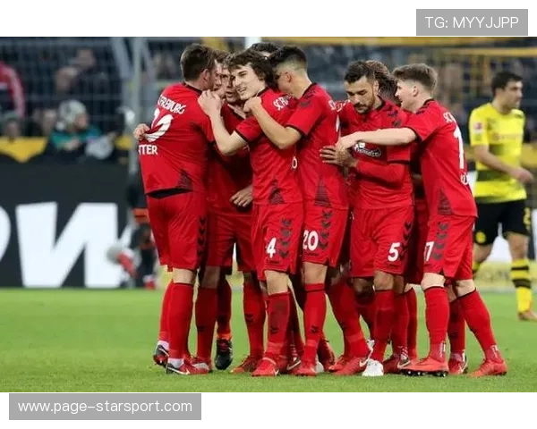 弗莱堡不容小觑，多特恐陷鏖战，弗莱堡图片