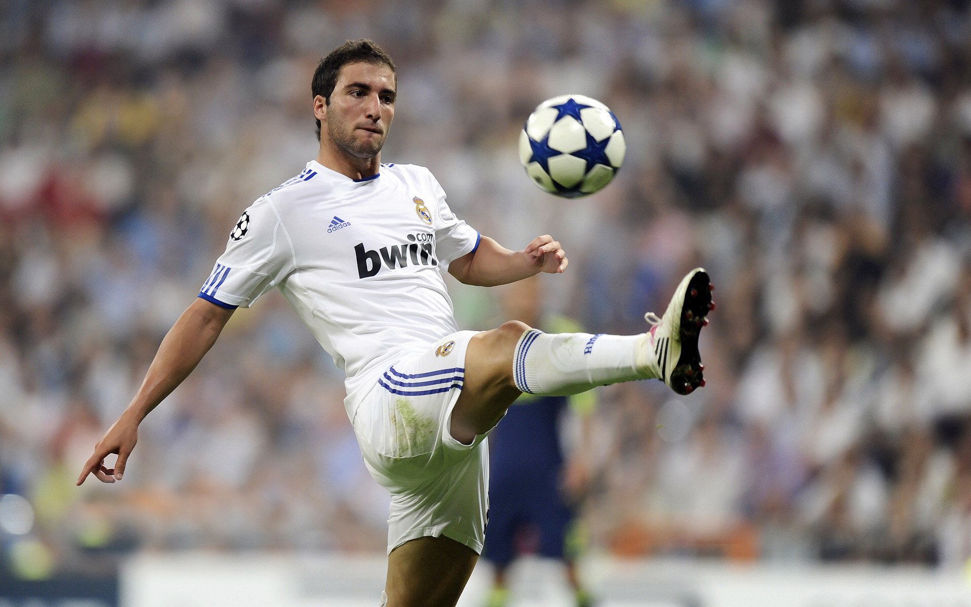 球员在欧洲杯中实现国家队首秀被盛赞，欧洲杯各国当家球星